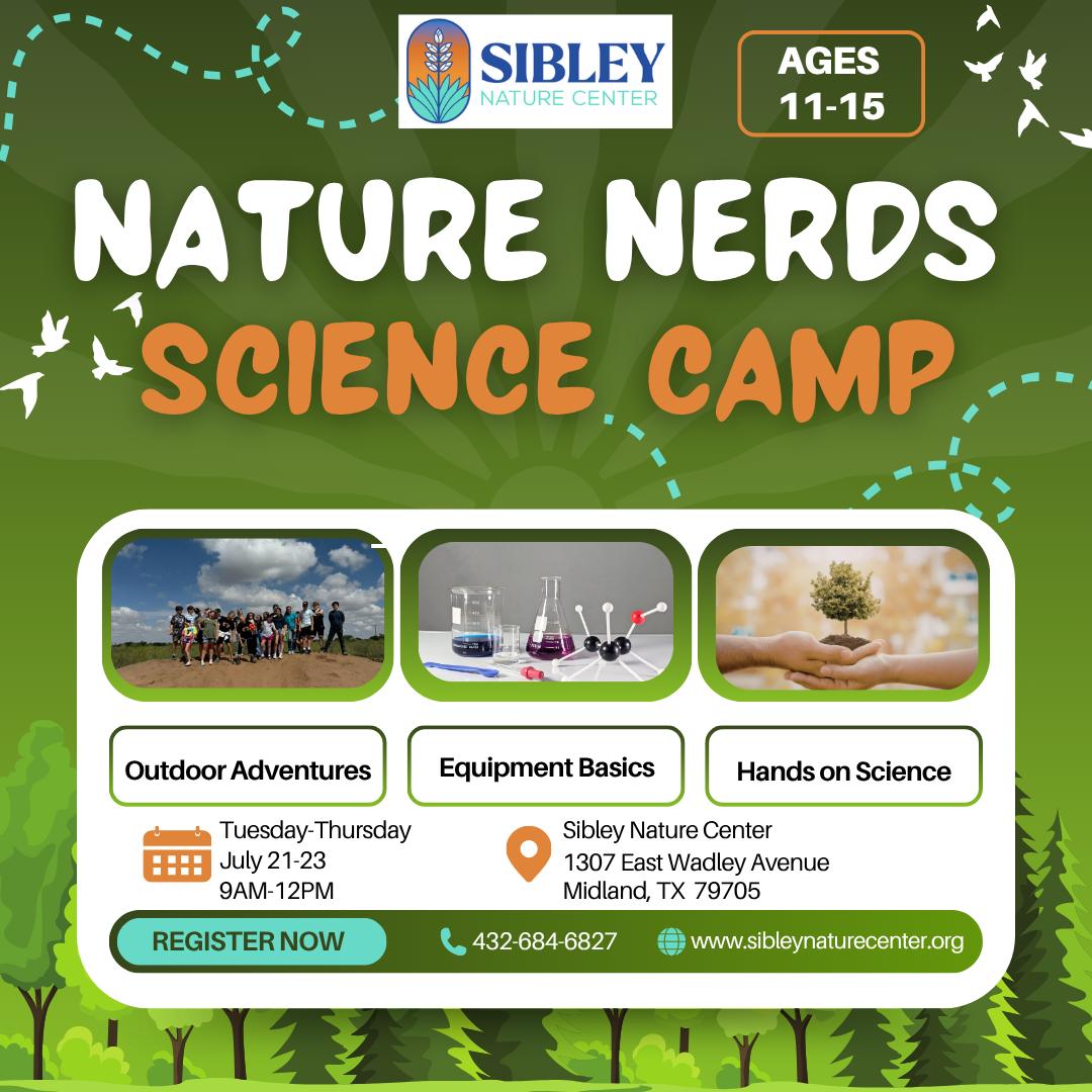 Nature Nerds Summer Camp26 - logo